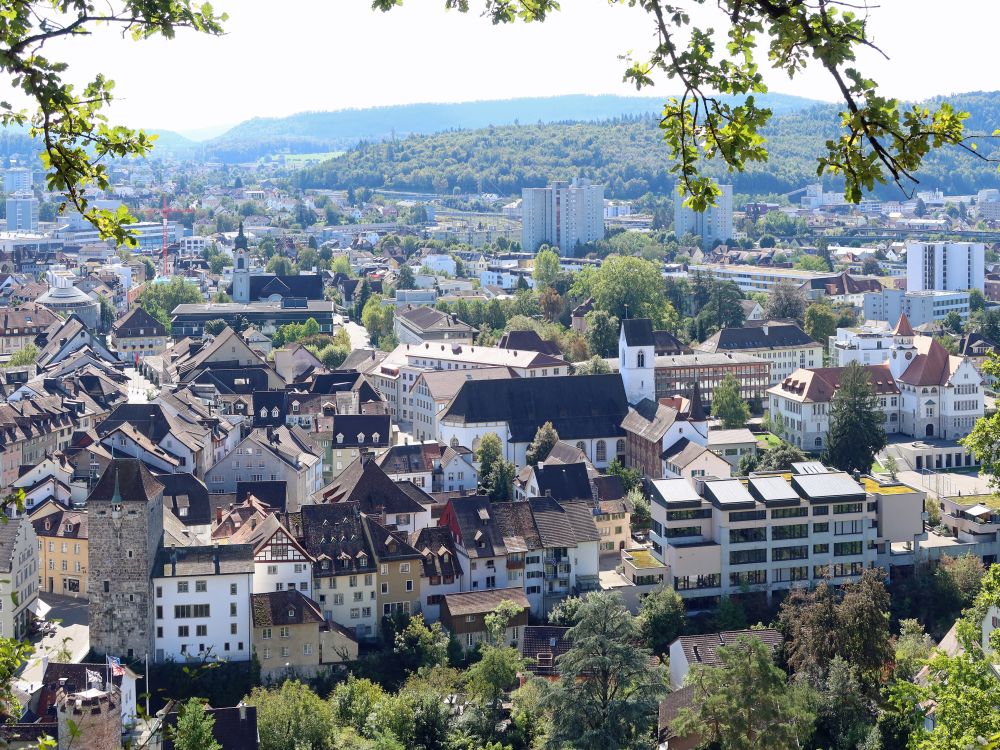 Blick auf Brugg