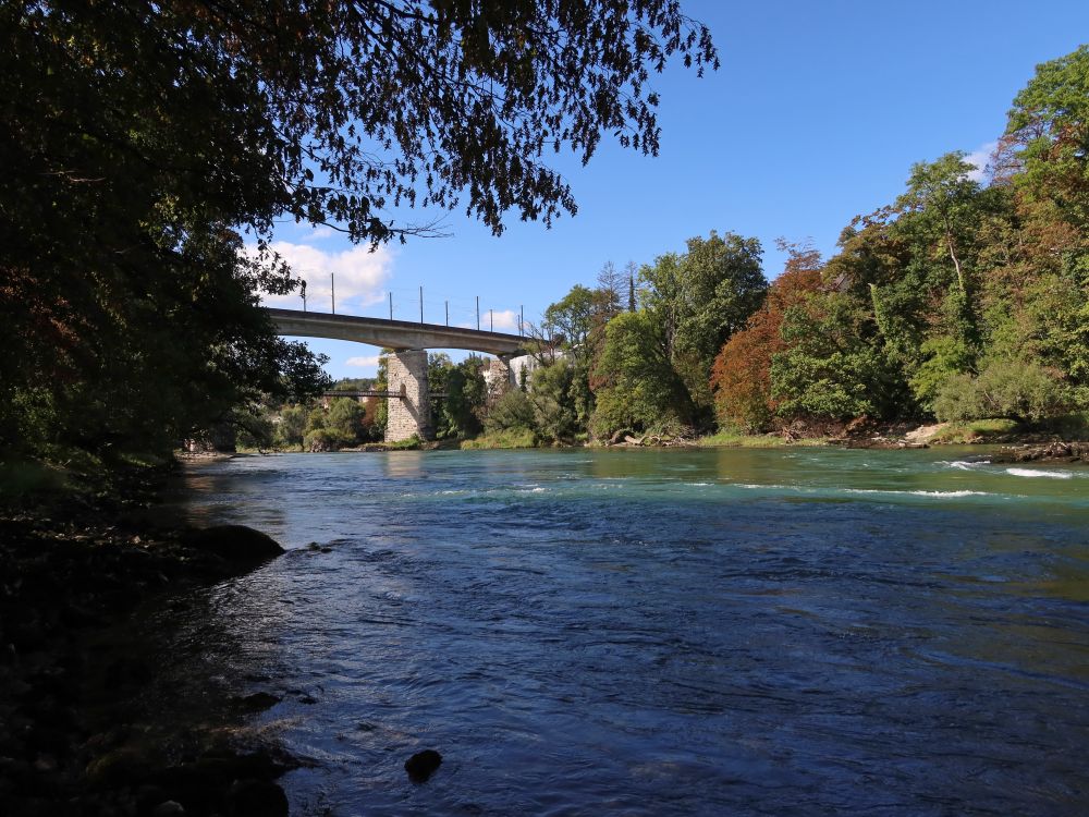 Aare mit Eisenbahnbrücke