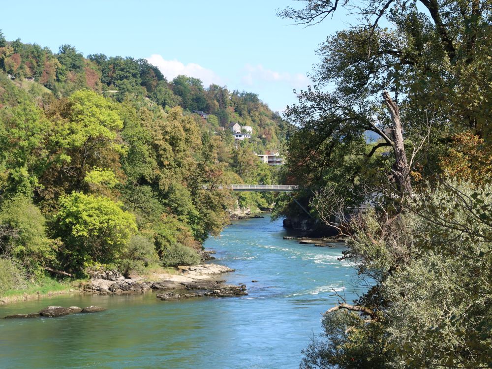 Aare