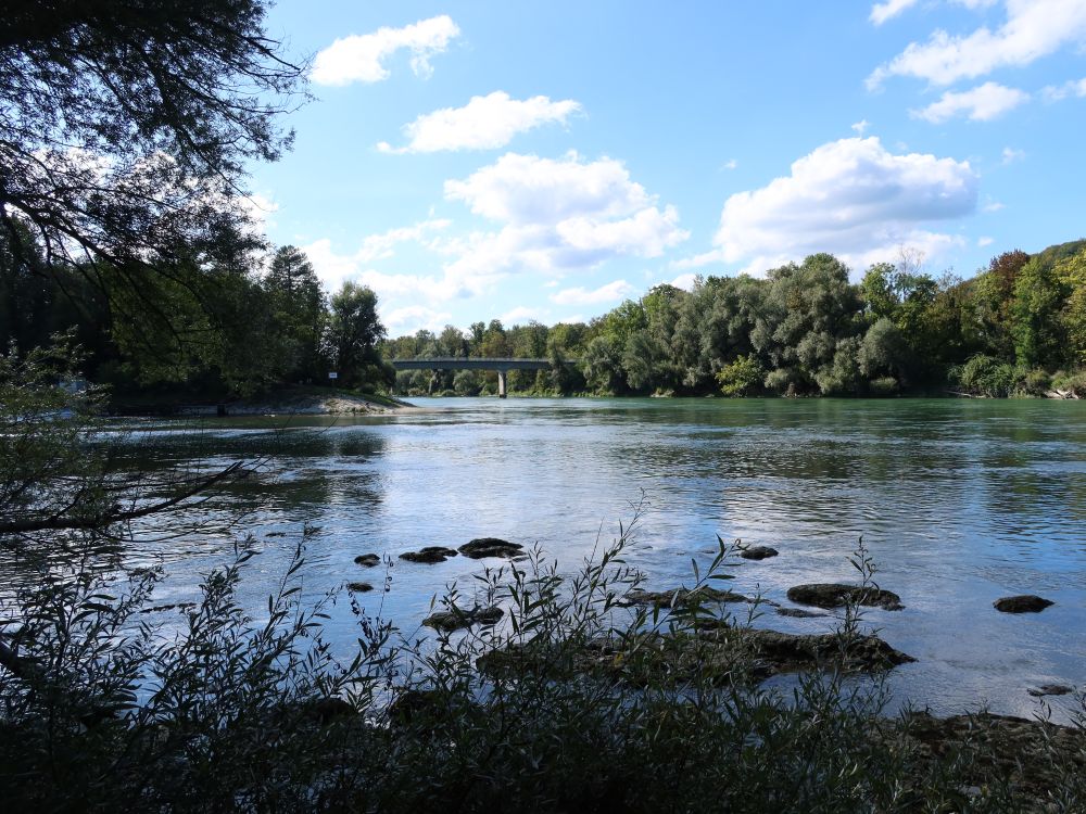 Aare bei Altenburg