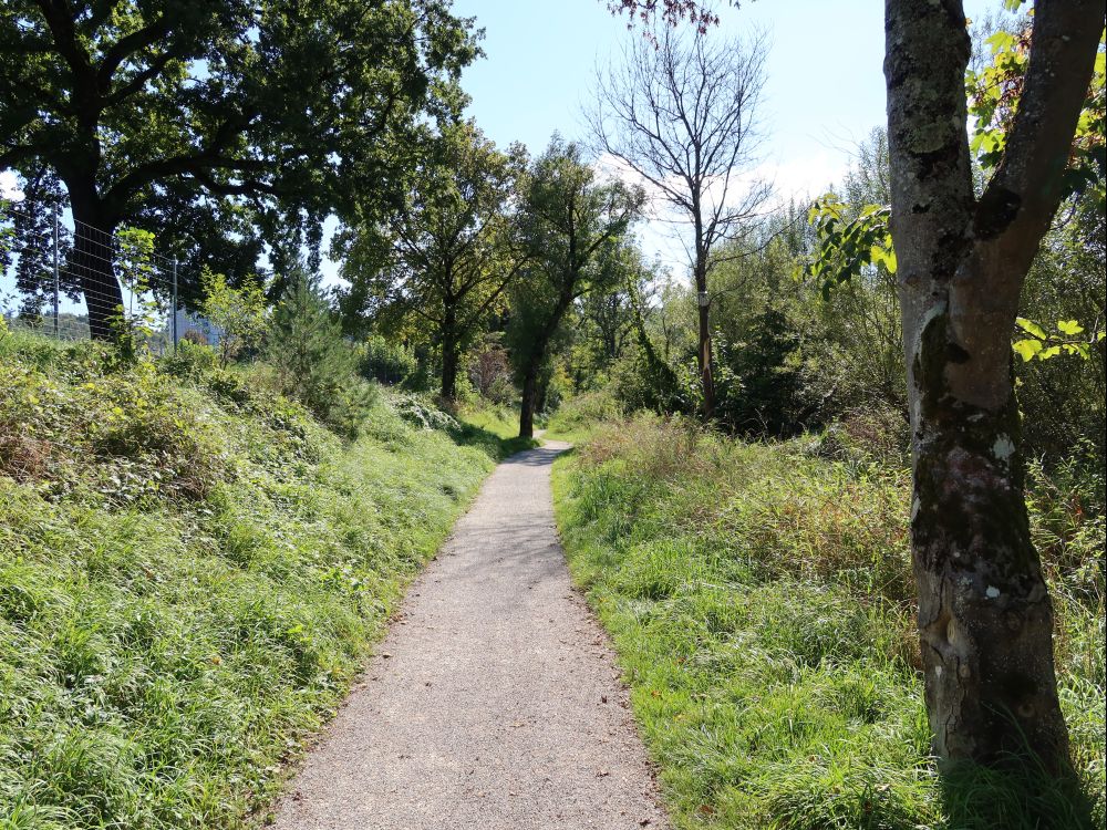 Aare-Uferweg beim Freibad