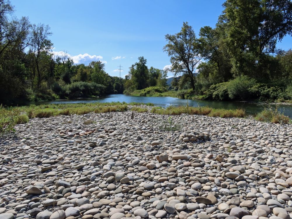 Kiesbett an der Aare