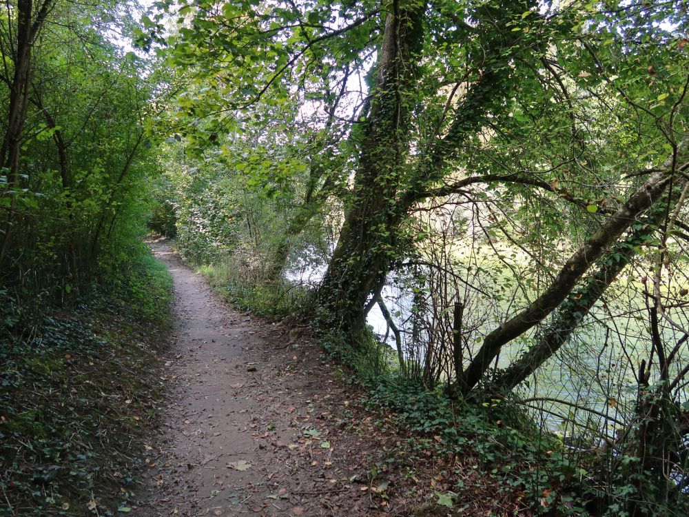 Aare-Uferweg