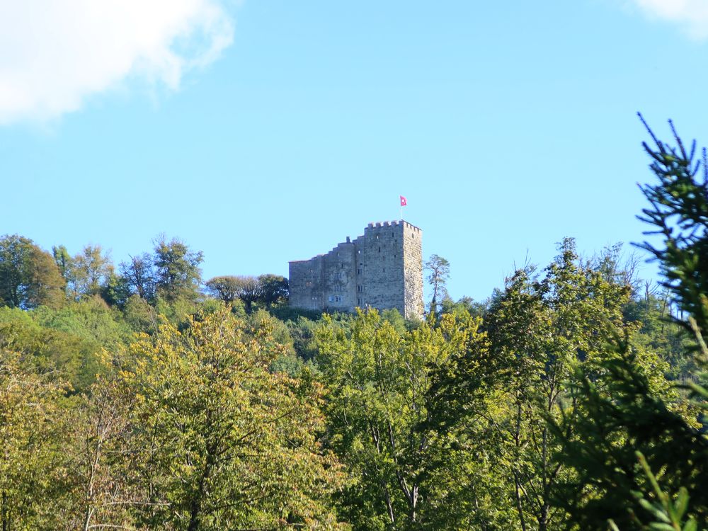 Schloss Habsburg