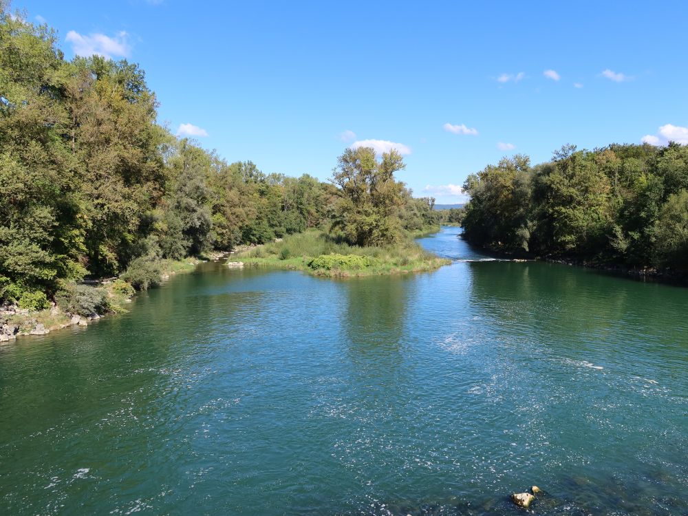 Insel in der Aare