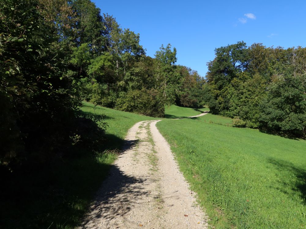 Wirtschaftsweg Hinterfohr