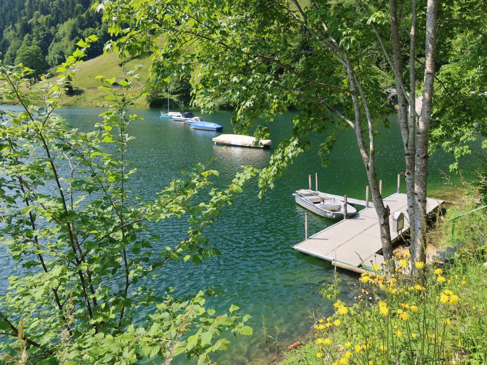 Boote am Wägitalersee