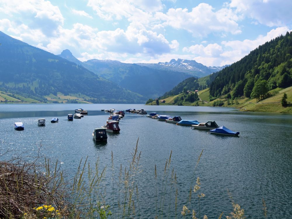 Wägitalersee