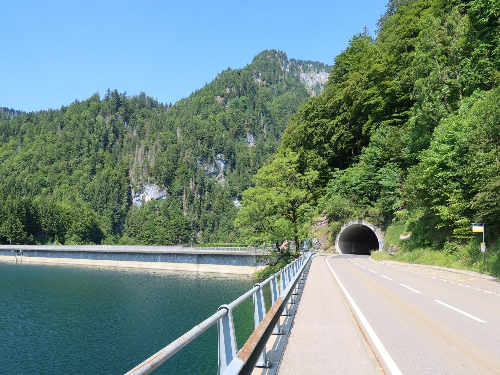 Strassentunnel am Wägitalersee