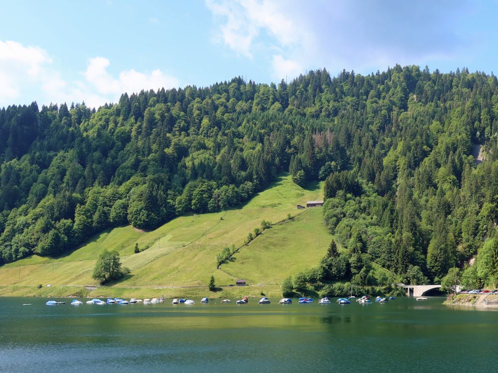 Wägitalersee