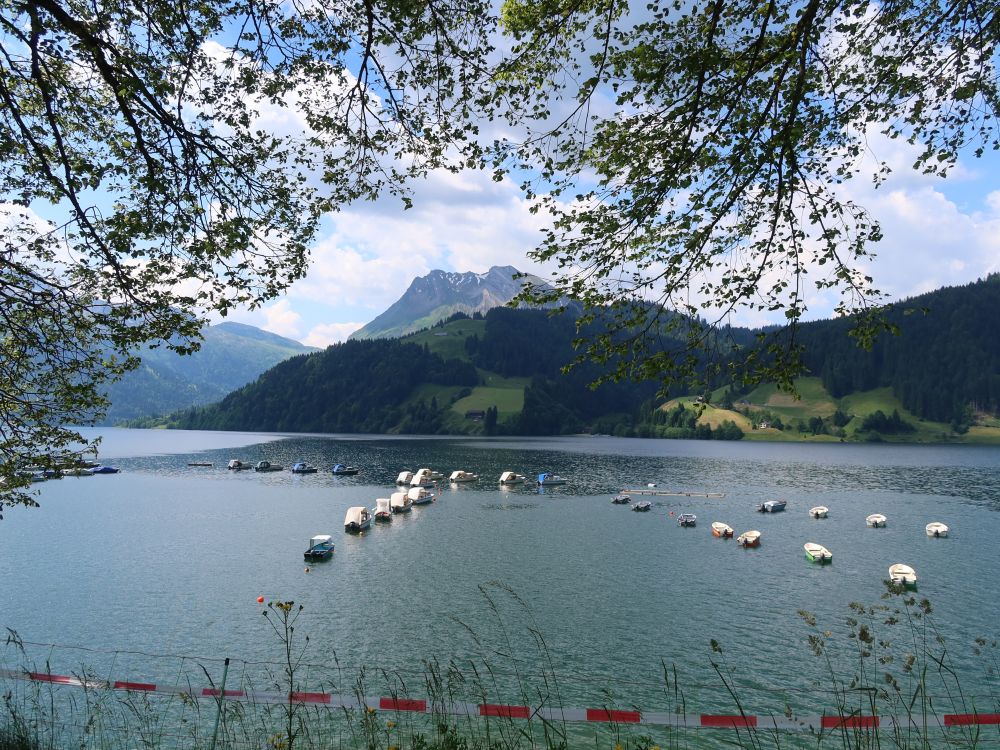 Wägitalersee