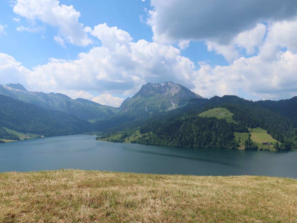 Fluebrig überm Wägitalersee