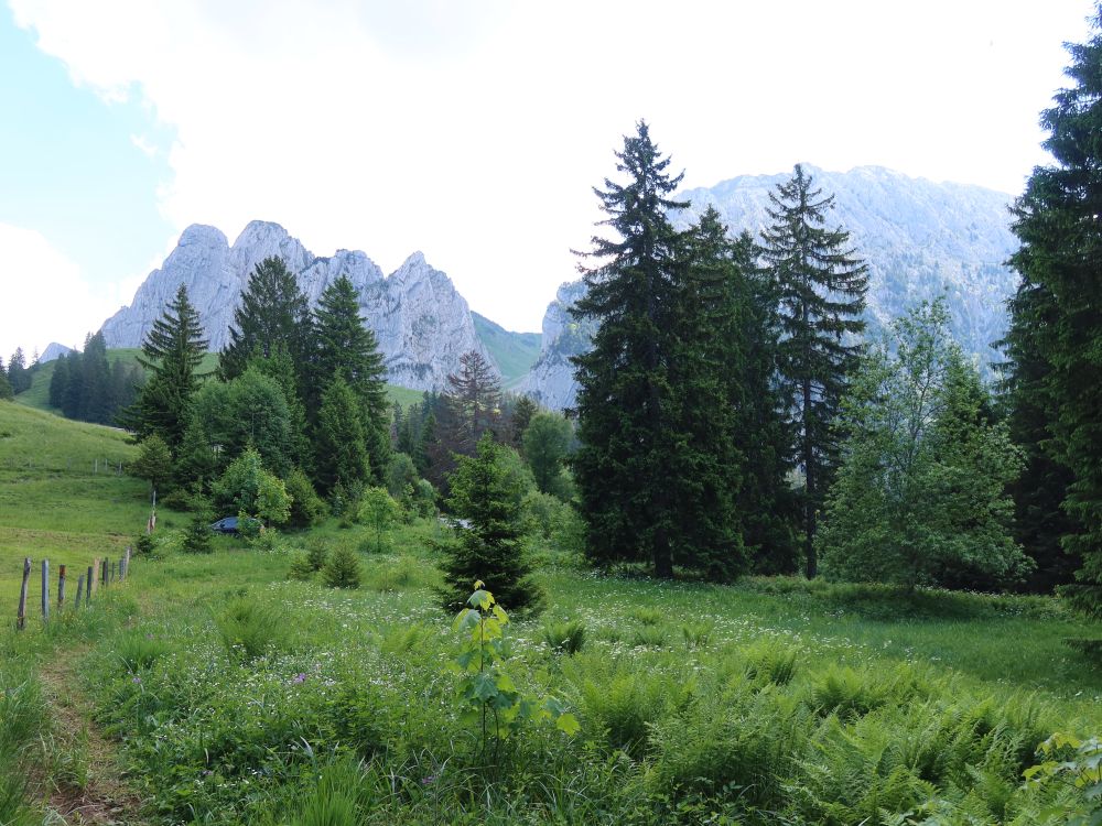 Bockmattli und Schiberg