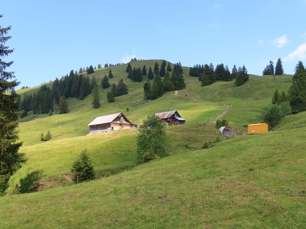 Bauernhof Gwürz und Brüschstockbügel