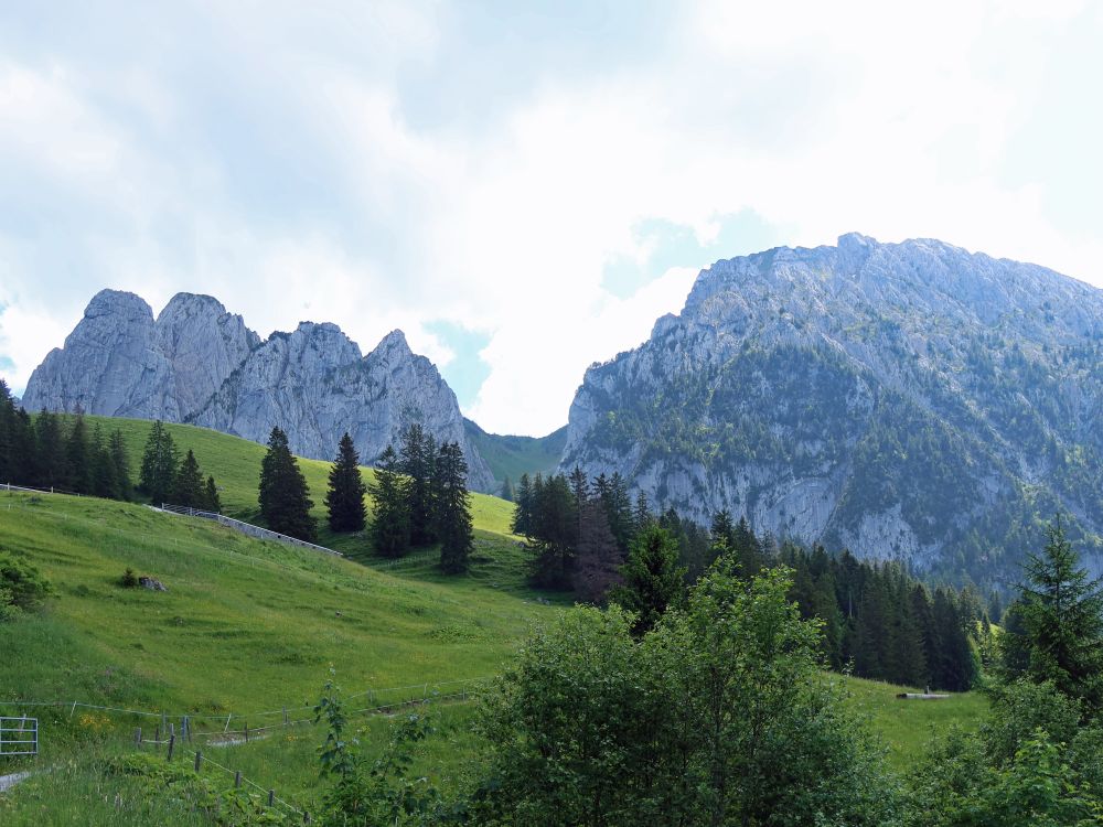 Bockmattli und Schiberg