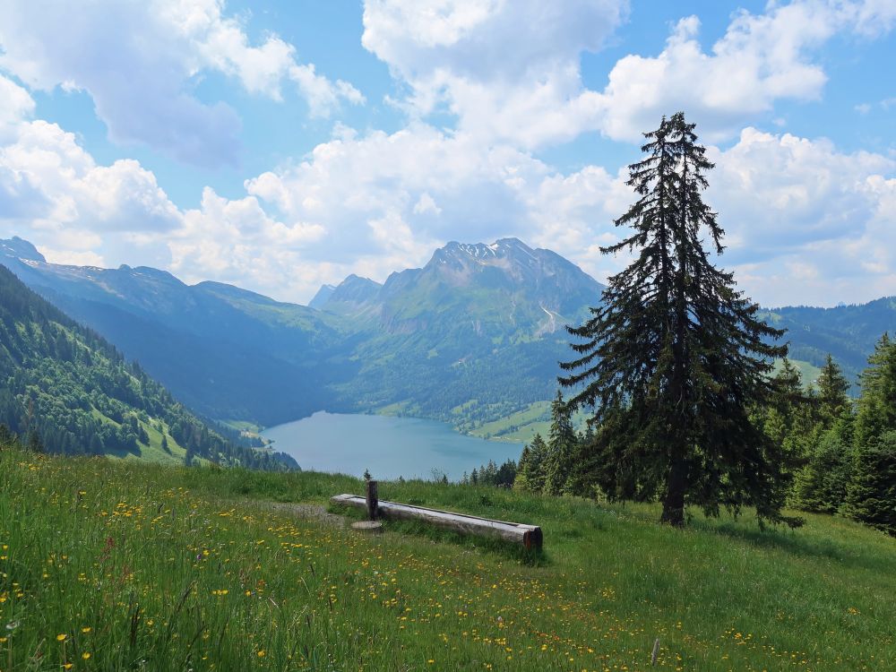 Brunnen und Fluebrig überm Wägitalersee