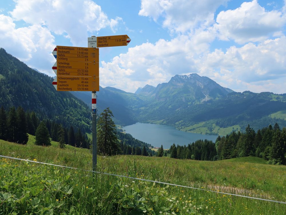 Wanderwegweiser und Fluebrig überm Wägitalersee