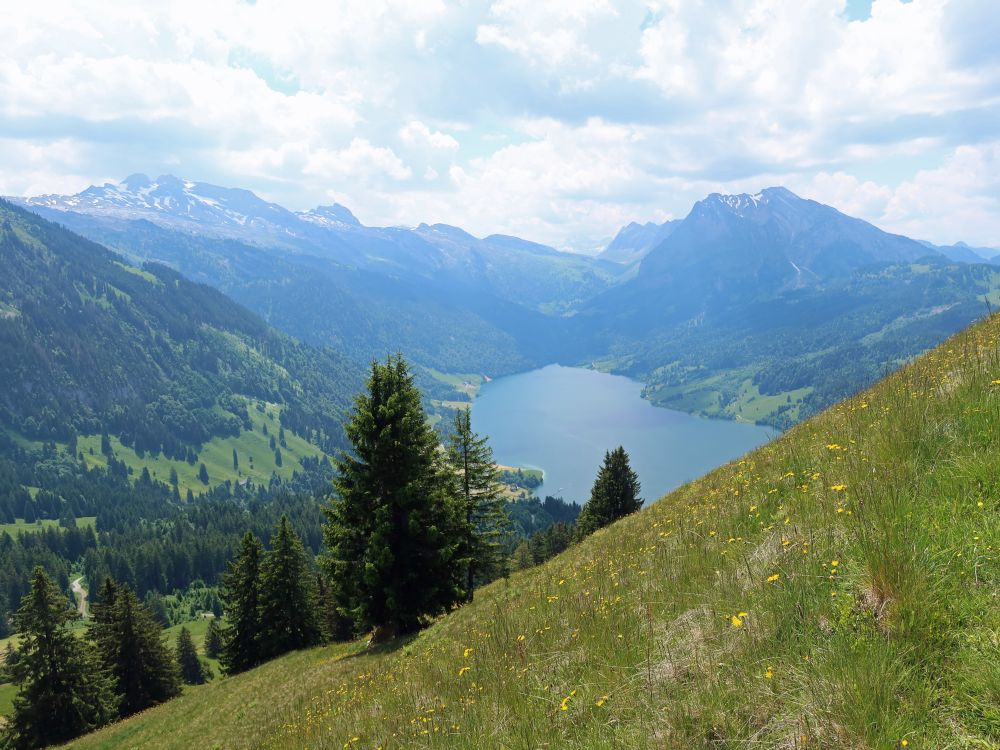 Wägitalersee und Fluebrig