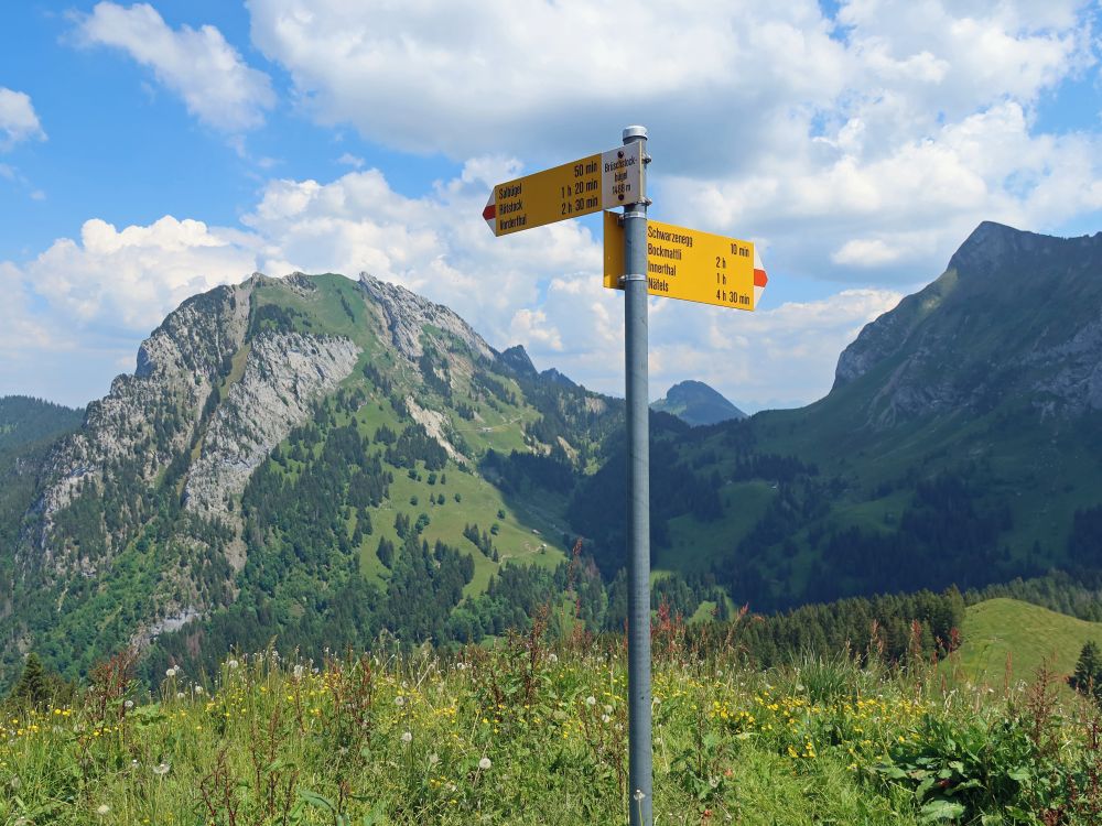 Wanderwegweiser und Chöpfenberg