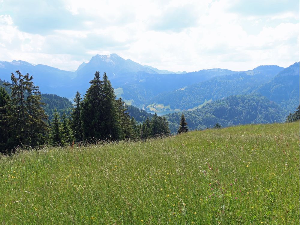 Blick Richtung Fluebrig