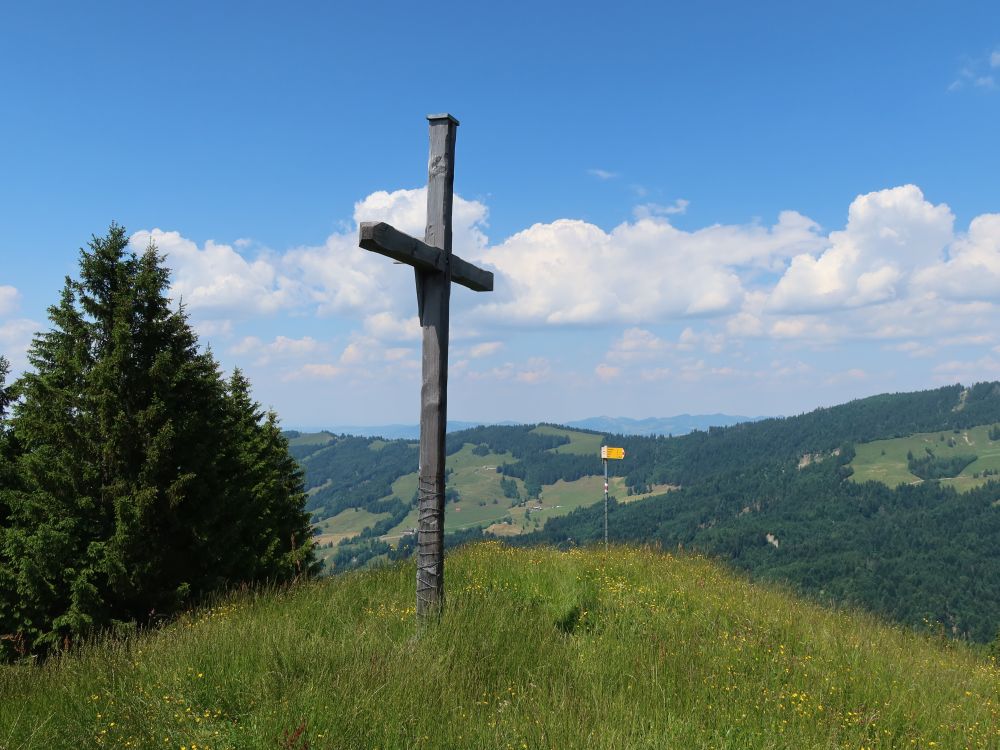 Gipfelkreuz auf dem Salbügel