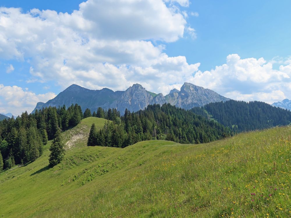 Bockmattli und Tierberg