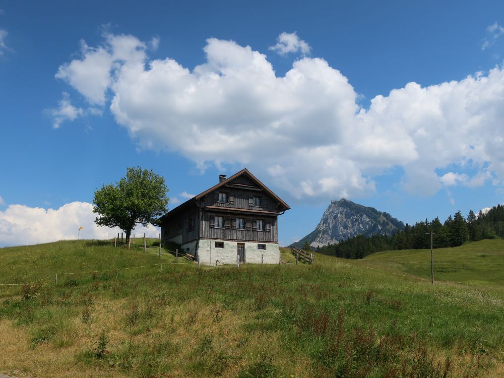 Haus neben Chöpfenberg bei Rötstock