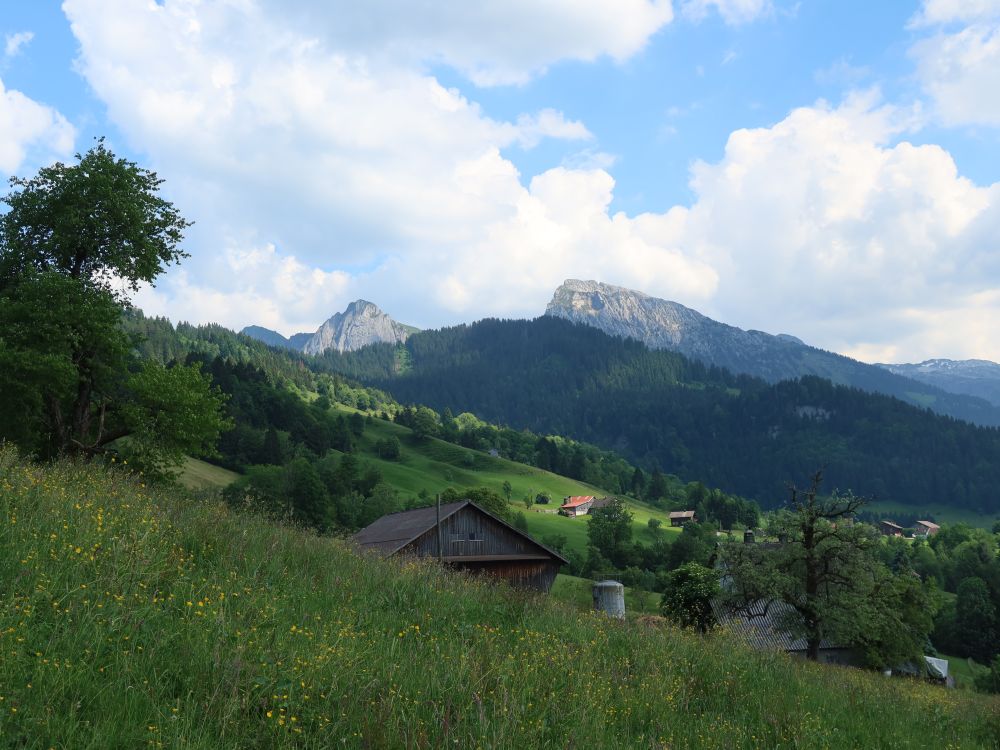 Bockmattli und Schiberg