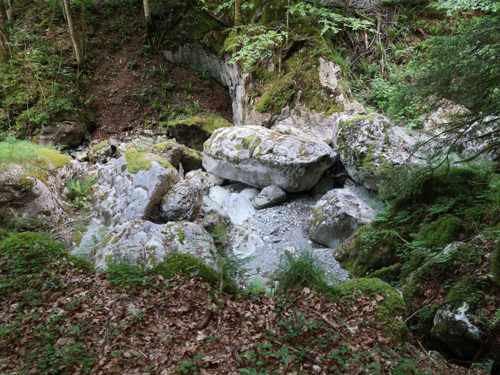 Felsbrocken in der Wägitaler Aa