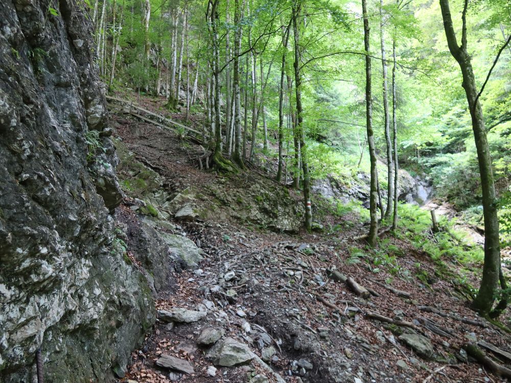 felsiger Pfad am Tanneggli