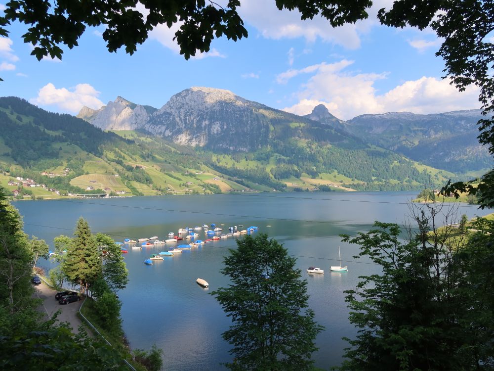 Wägitalersee mit Bockmattli, Schiberg und Zindelspitz