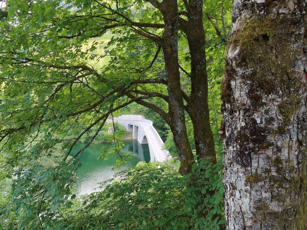 Strassenbrücke