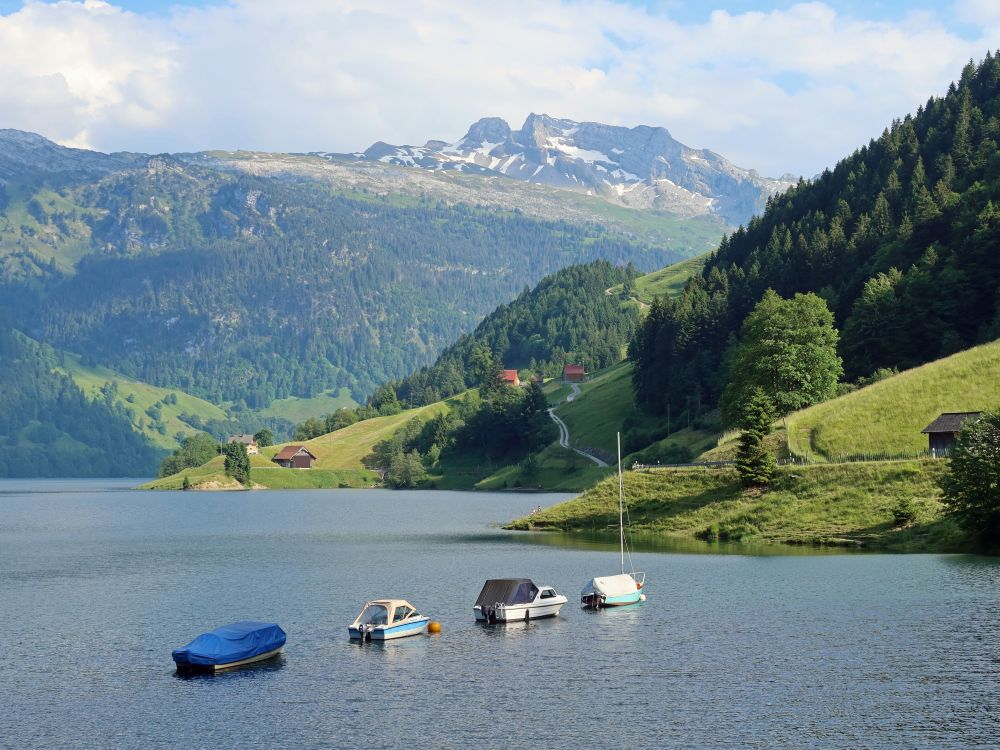 Wägitalersee