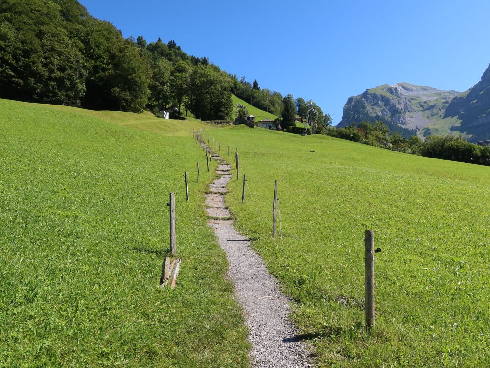 Wiesenpfad mit Gemsispli