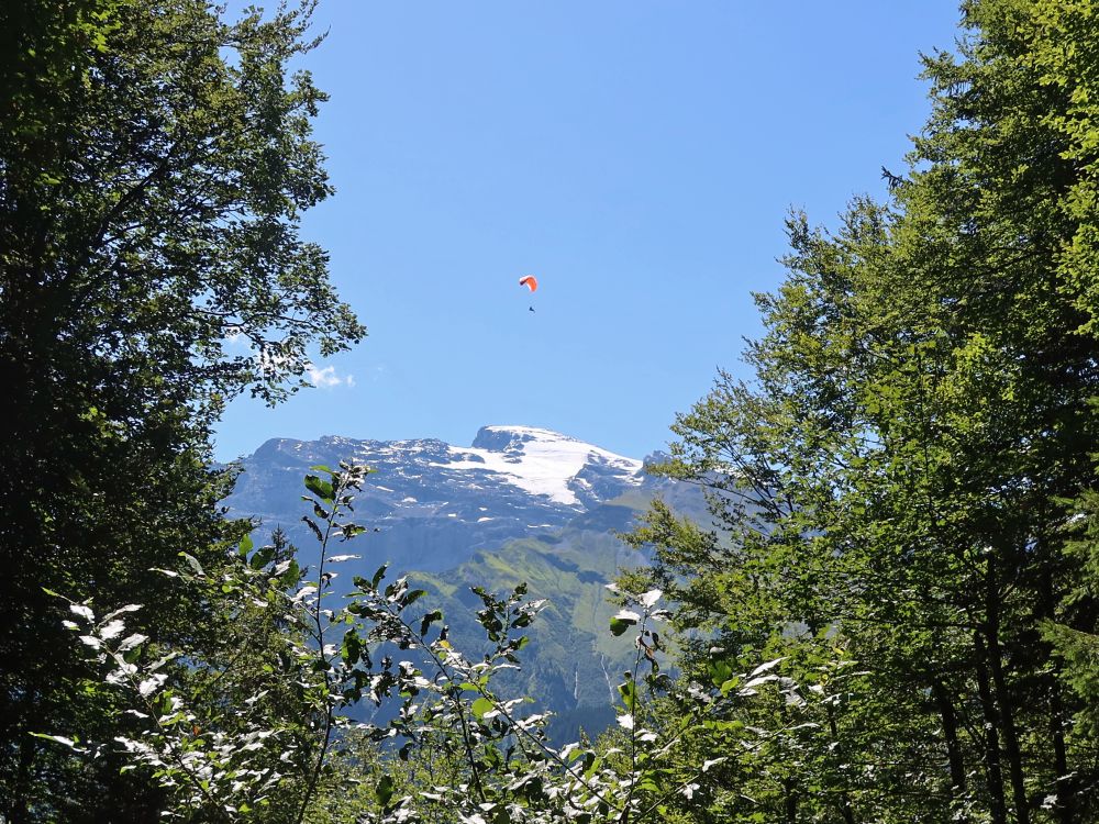 Gleitschirmflieger über Titlis