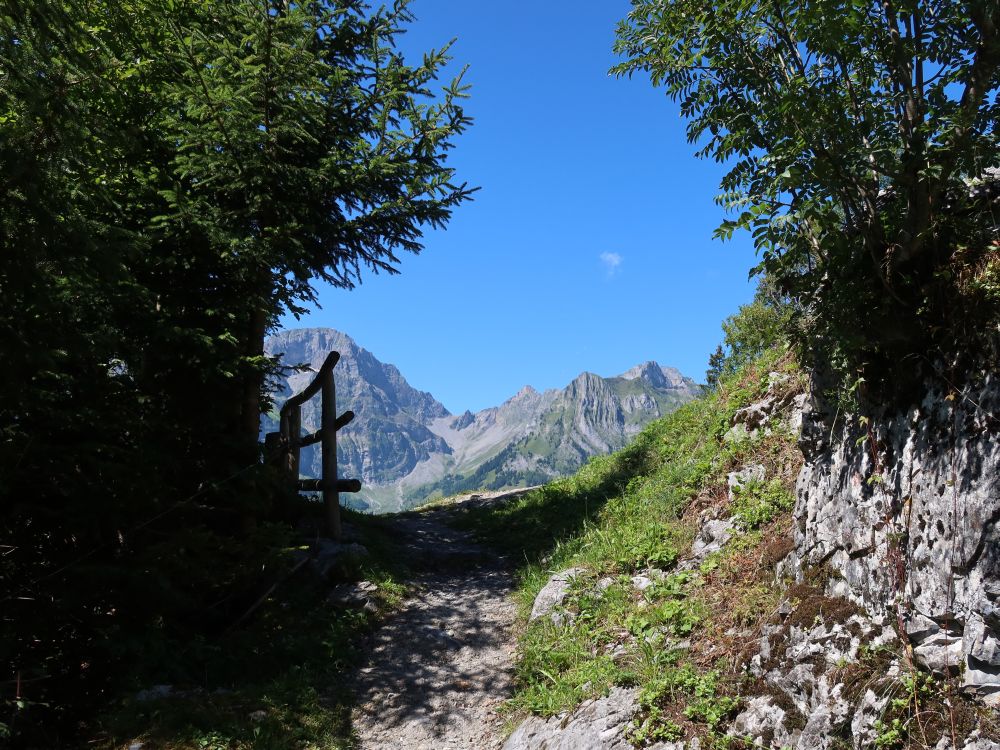 Huetstock und Widderfeld Stock