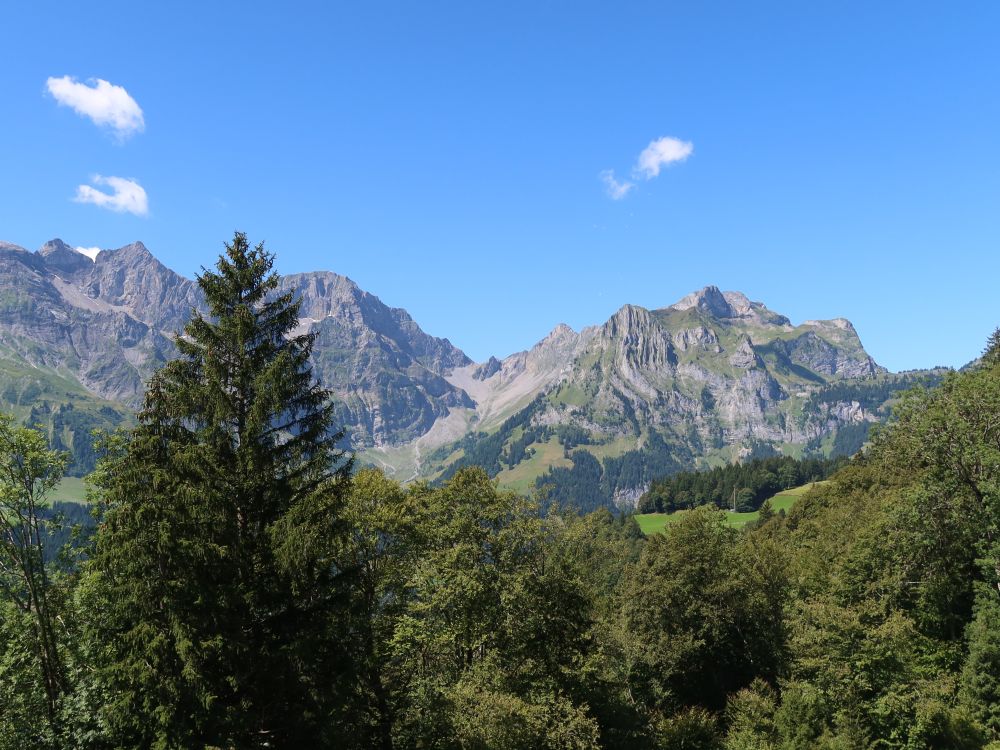 Blick Richtung Widderfeldstock