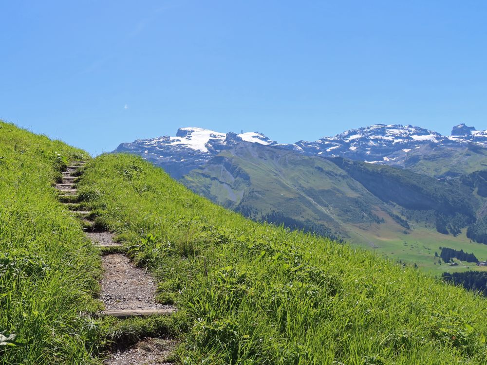 Wiesenpfad und Titlis