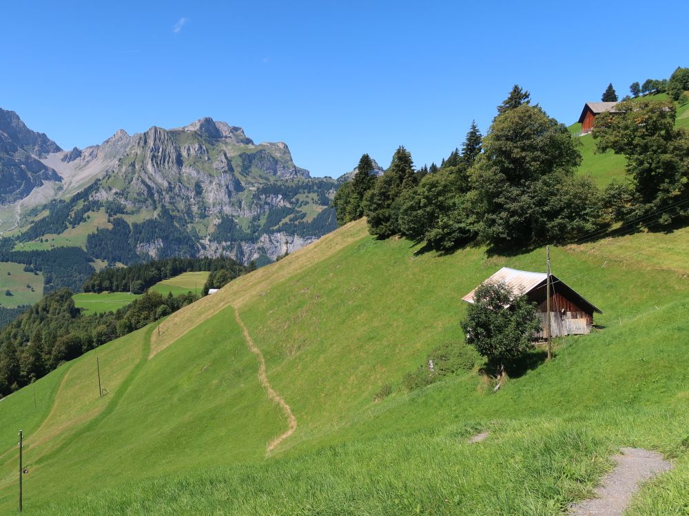 Blick Richtung Widderfeldstock