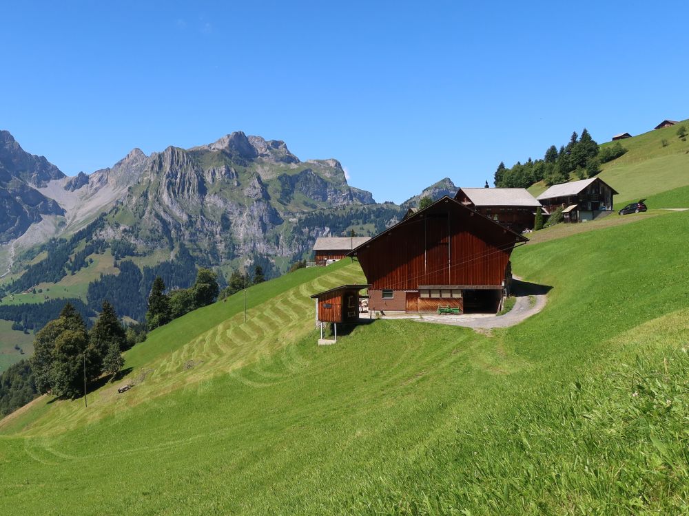 Bauernhof mit Widderfeldstock