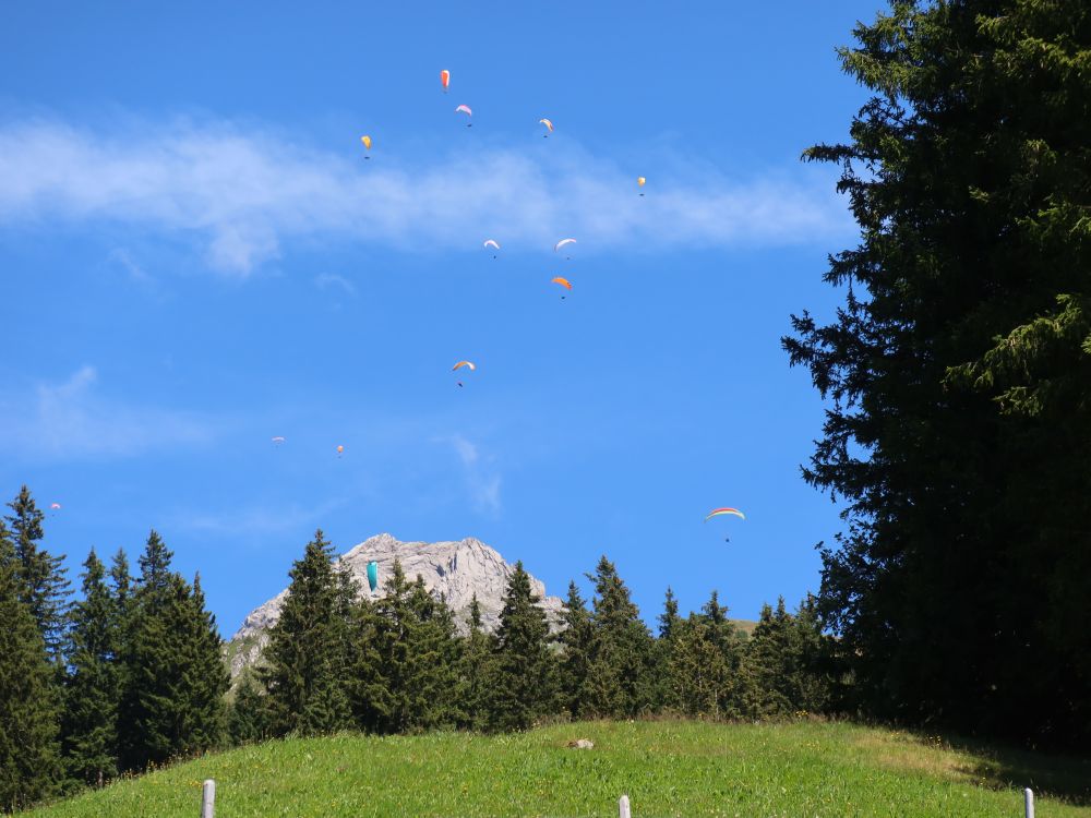 Gleitschirmflieger am Himmel