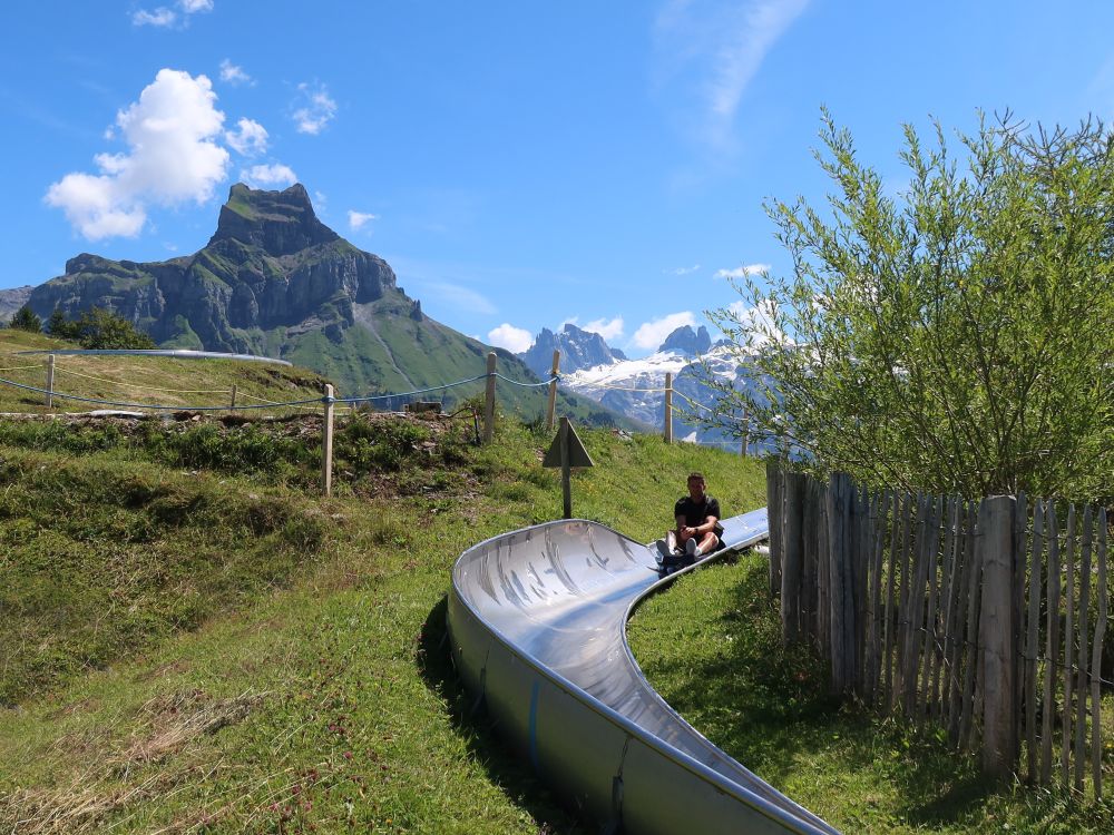 Rodelbahn mit Hahnen