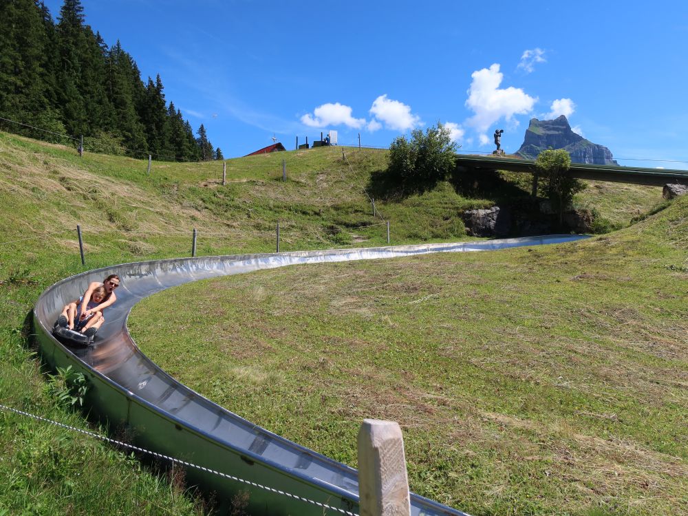 Rodelbahn mit Hahnen im Hintergrund