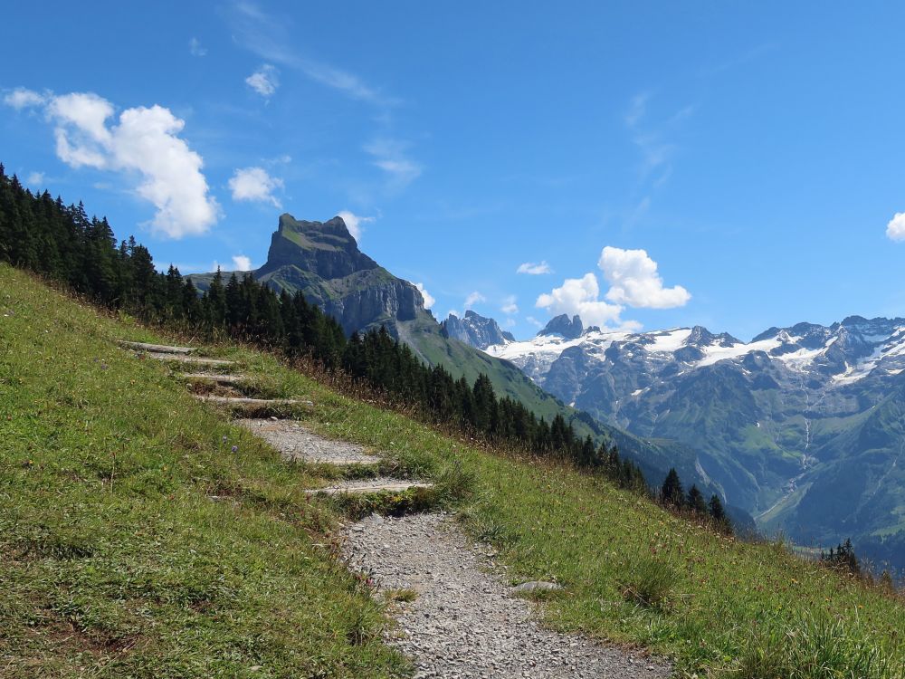 Bergpfad mit Hahnen und Spannort