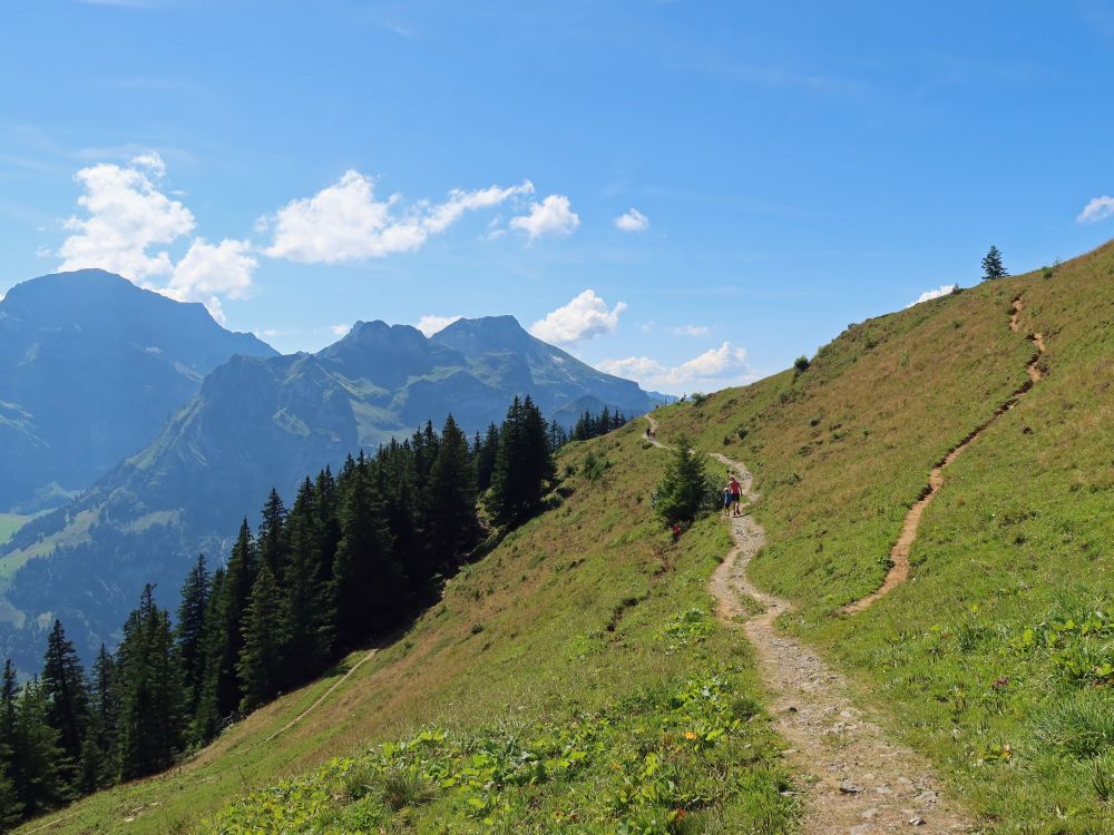 Bergweg mit Wild Geissberg (li.) bis Widderfeldstock (re.)