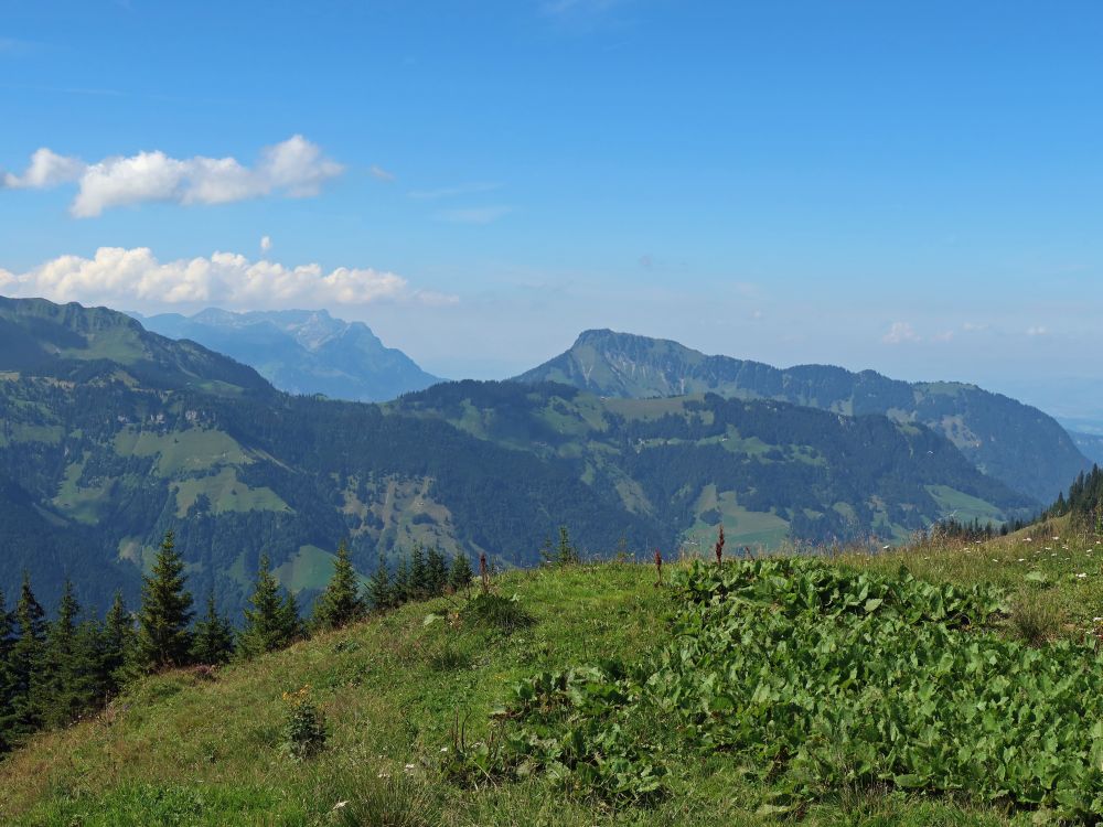 In der Ferne Pilatus (li.) und Stanserhorn (re.)