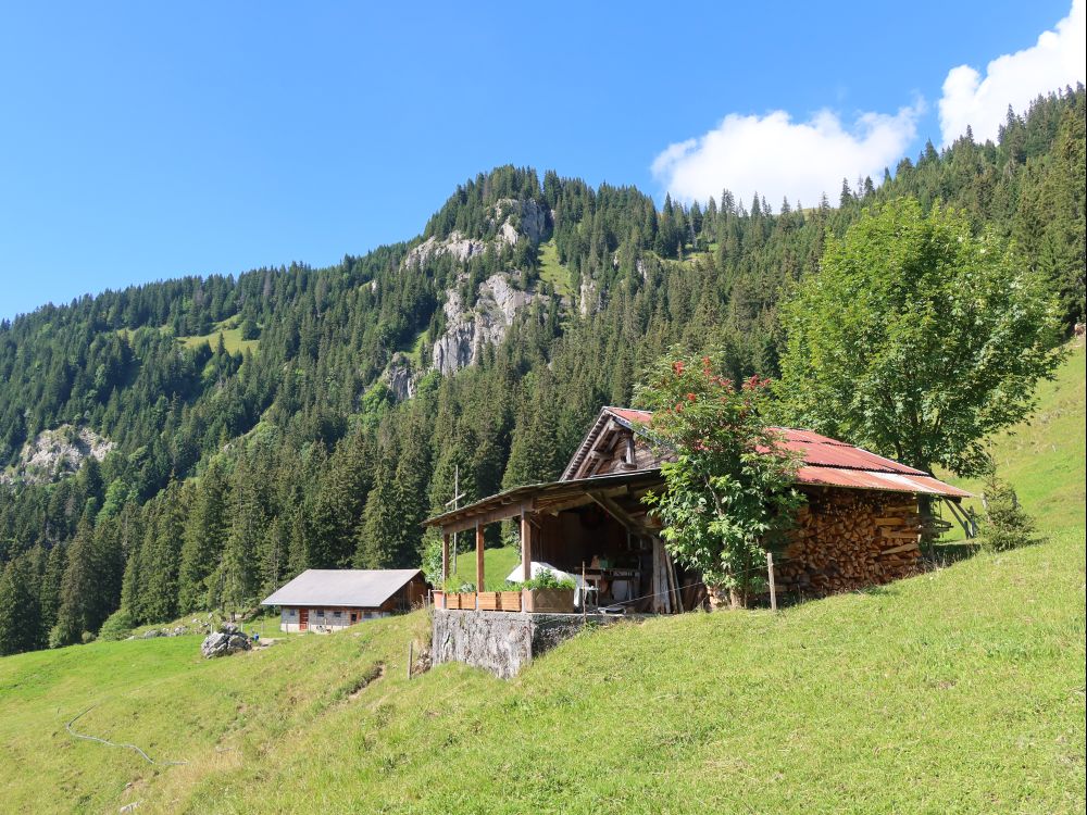 Hütte mit Stall bei Chruteren