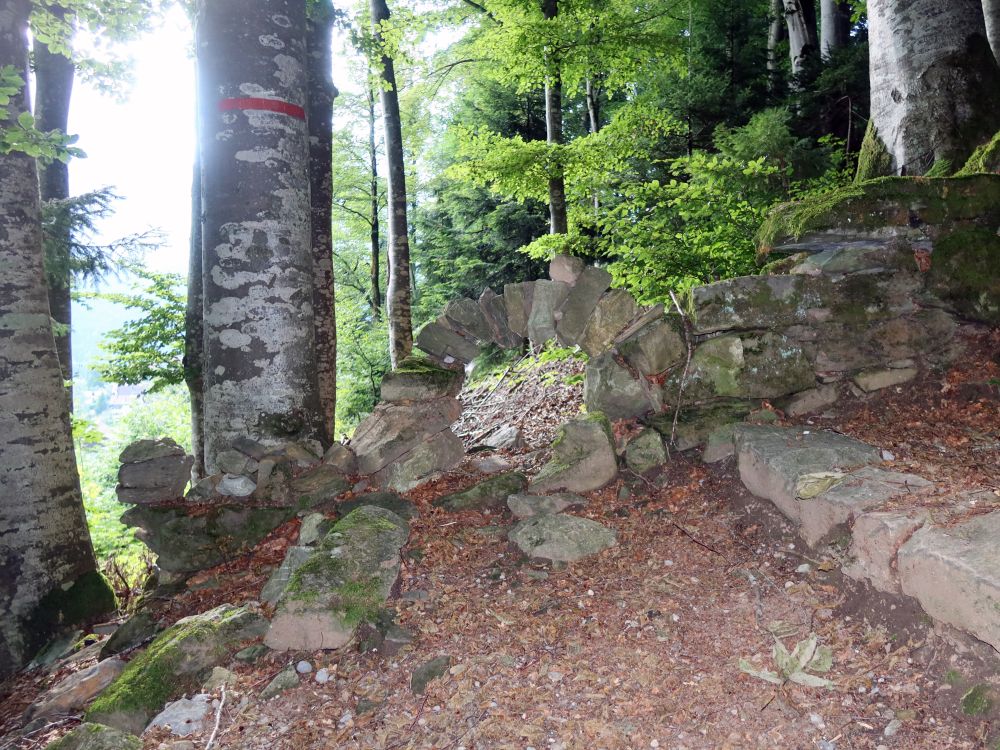 Torbogen aus Naturstein