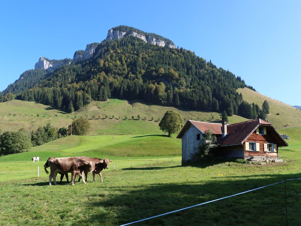 kleiner Bauernhof unter der Schwändiliflue