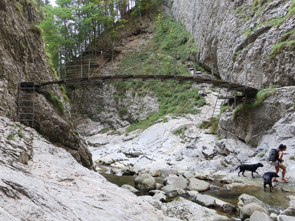 Brücke im Chessiloch